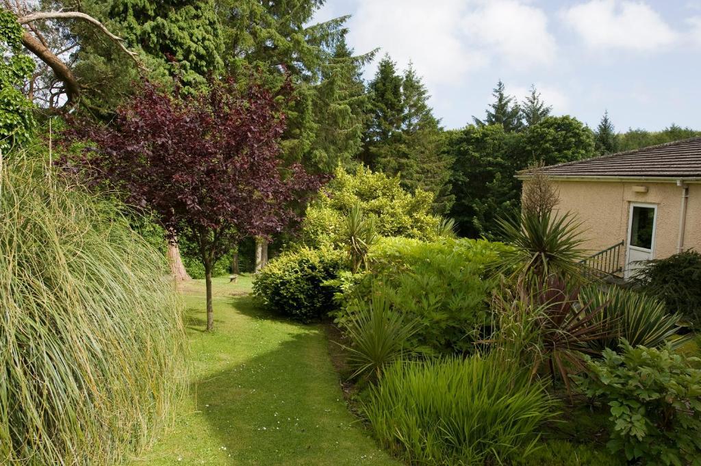 Cwmwennol Country House Saundersfoot Exterior photo