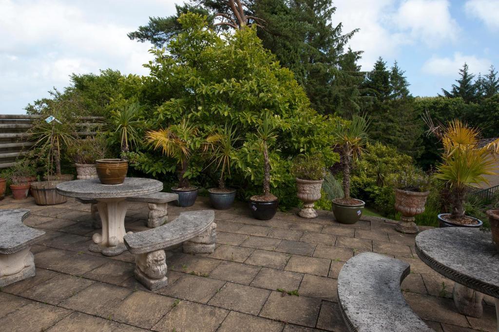 Cwmwennol Country House Saundersfoot Exterior photo
